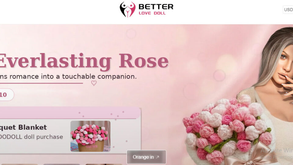 Exploring the Customization Options Offered by Aibei Dolls